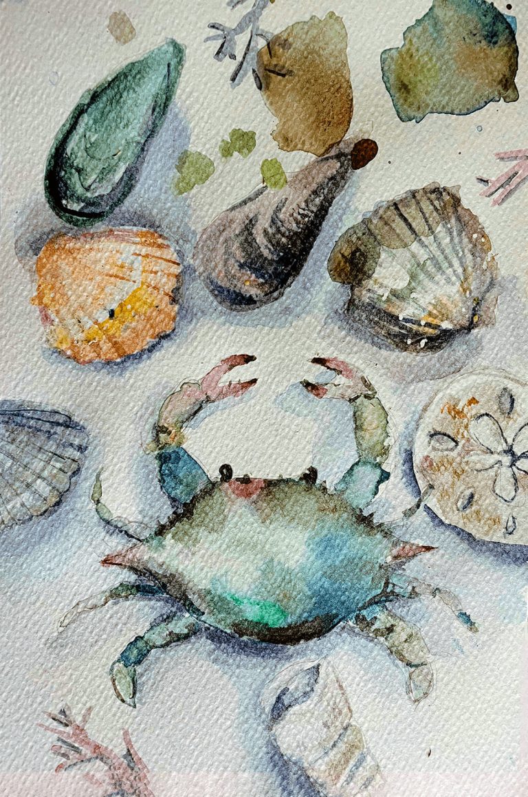 456821028_10159591494455793_5432167152567397377_n